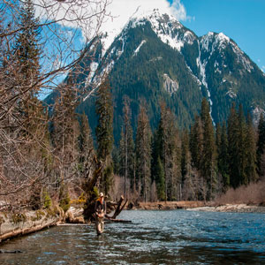 Fly Fishing for Spring-Run Steelhead